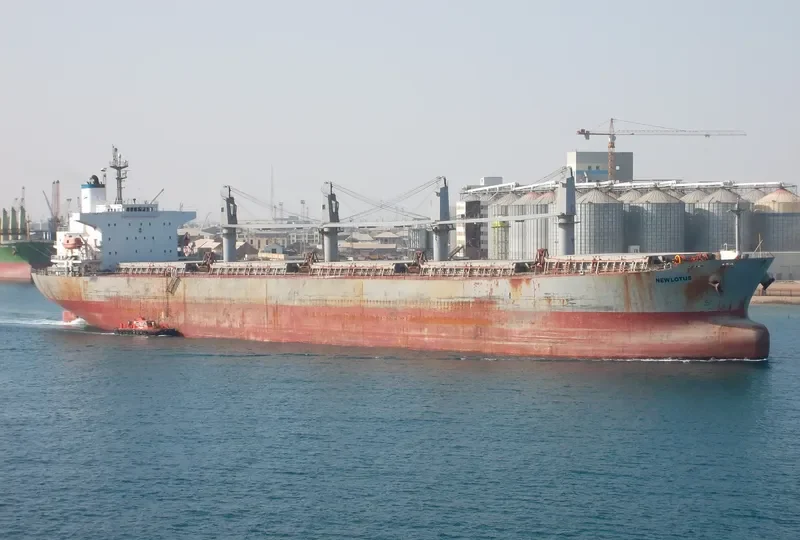 NEW LOTUS Bulk Carrier IMO 9244893 photo 9