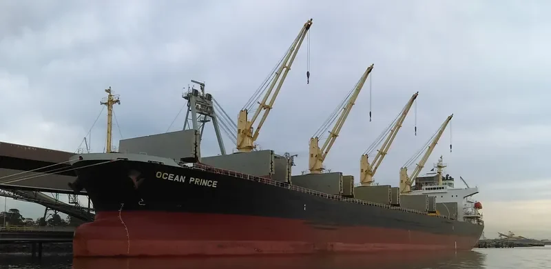 OCEAN PRINCE Bulk Carrier IMO 9244908 photo 4
