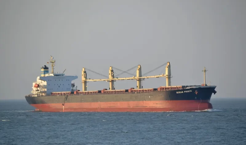 OCEAN PRINCE Bulk Carrier IMO 9244908 photo 6