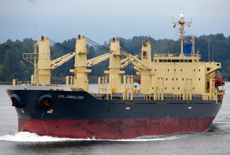TAN BINH 129 Bulk Carrier IMO 9244996