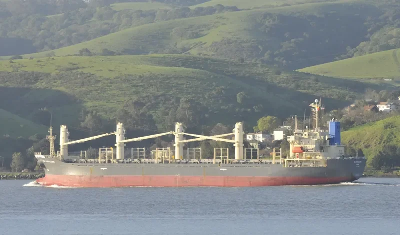 TAN BINH 129 Bulk Carrier IMO 9244996 photo 2