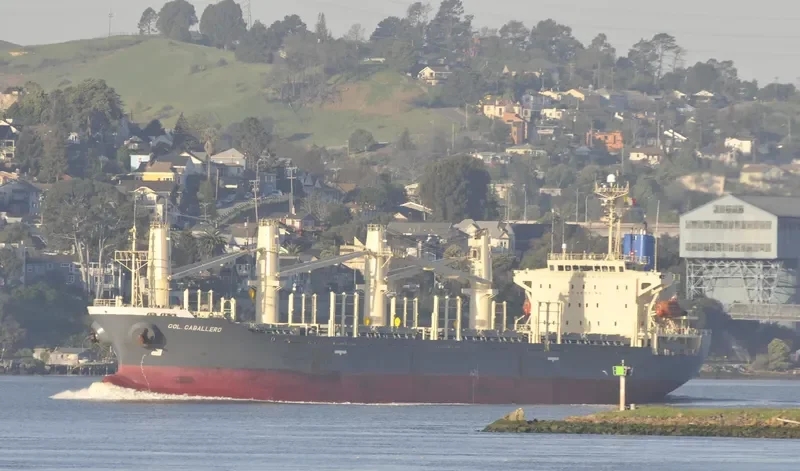 TAN BINH 129 Bulk Carrier IMO 9244996 photo 3