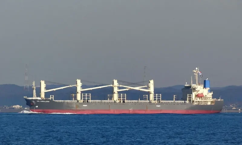 TAN BINH 129 Bulk Carrier IMO 9244996 photo 4