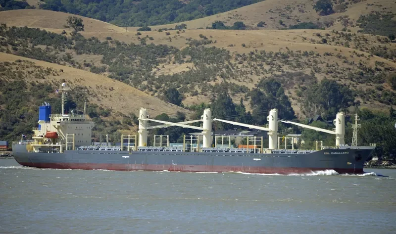 TAN BINH 129 Bulk Carrier IMO 9244996 photo 5
