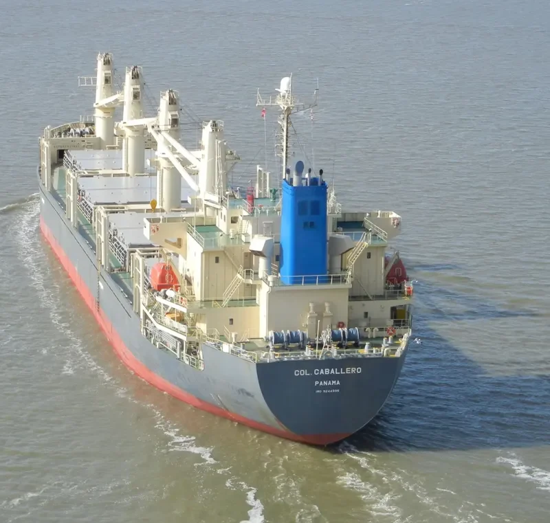 TAN BINH 129 Bulk Carrier IMO 9244996 photo 6