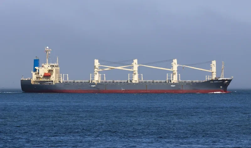 TAN BINH 129 Bulk Carrier IMO 9244996 photo 7