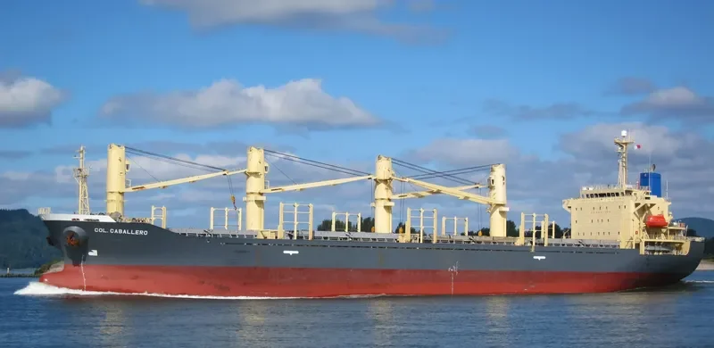 TAN BINH 129 Bulk Carrier IMO 9244996 photo 8