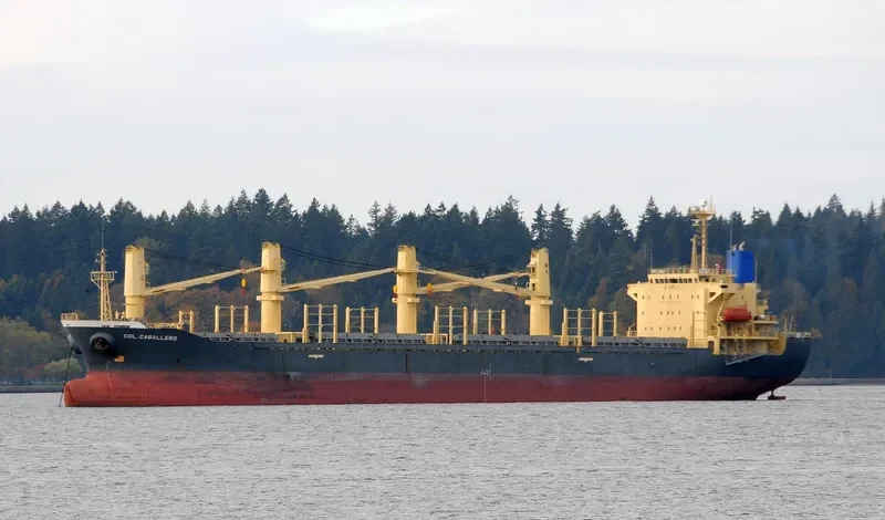 TAN BINH 129 Bulk Carrier IMO 9244996 photo 10