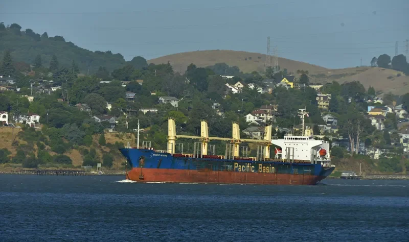 MOUNT ADAMS Bulk Carrier IMO 9245067 photo 4