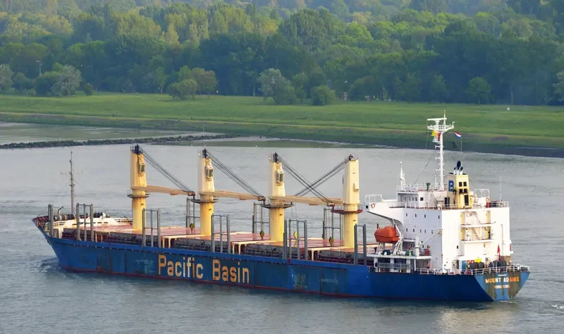 MOUNT ADAMS Bulk Carrier IMO 9245067 photo 9