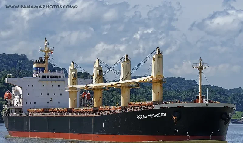 OCEAN PRINCESS Bulk Carrier IMO 9245196 photo 2