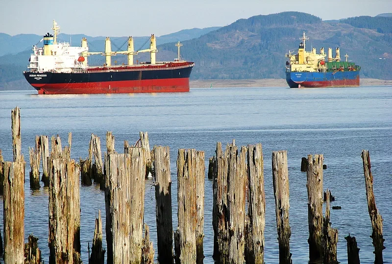 OCEAN PRINCESS Bulk Carrier IMO 9245196 photo 4