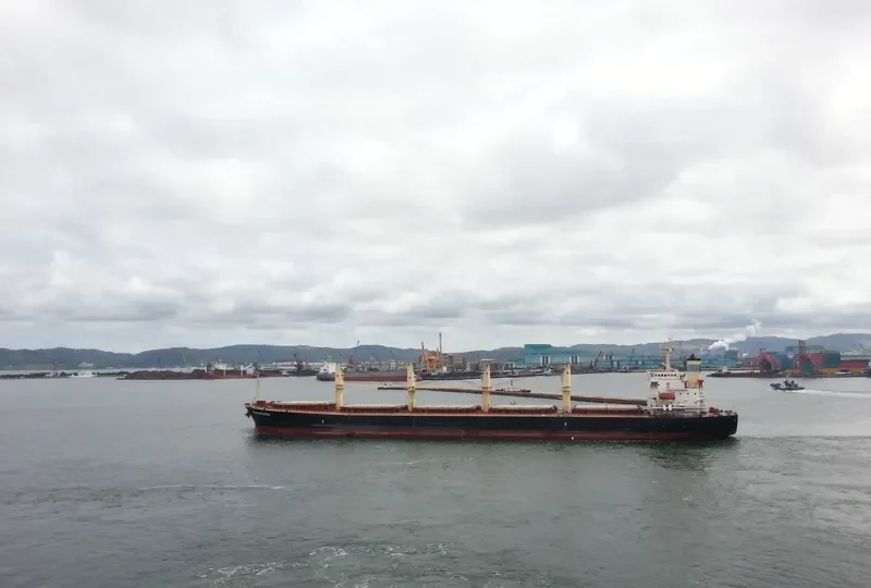 OCEAN PRINCESS Bulk Carrier IMO 9245196 photo 5
