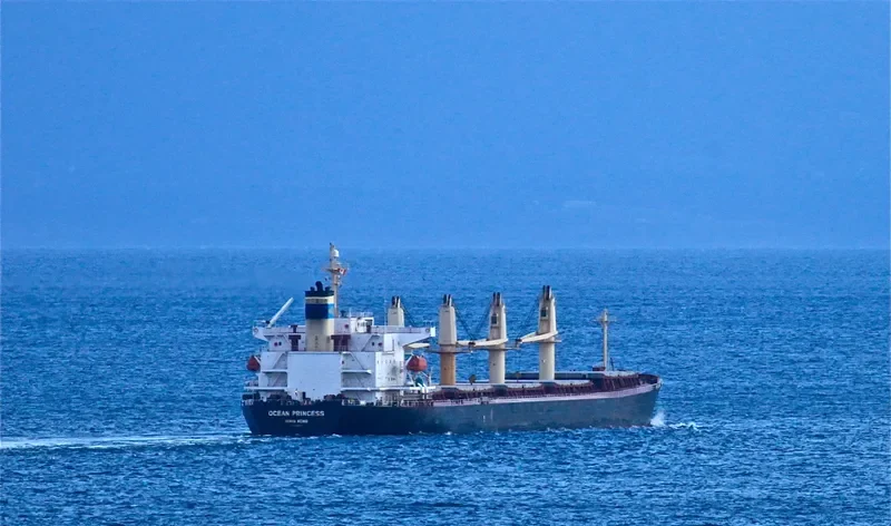 OCEAN PRINCESS Bulk Carrier IMO 9245196 photo 6