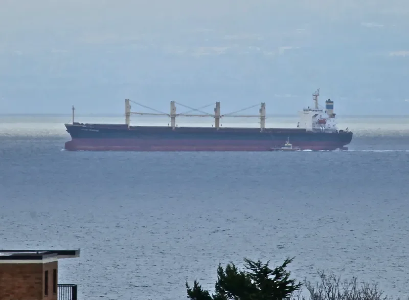 OCEAN PRINCESS Bulk Carrier IMO 9245196 photo 7
