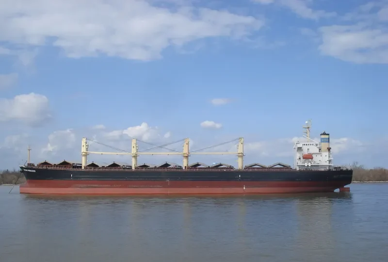 OCEAN PRINCESS Bulk Carrier IMO 9245196 photo 8