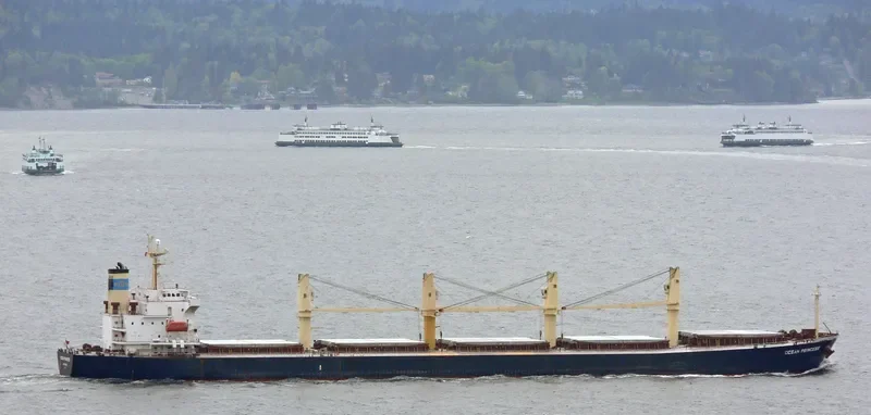 OCEAN PRINCESS Bulk Carrier IMO 9245196 photo 10