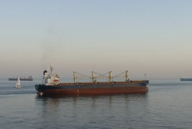 IDC PEARL Bulk Carrier IMO 9245249