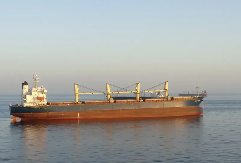 IDC PEARL Bulk Carrier IMO 9245249 photo 2