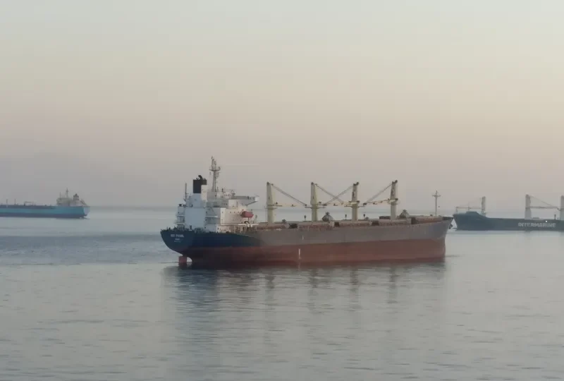 IDC PEARL Bulk Carrier IMO 9245249 photo 3