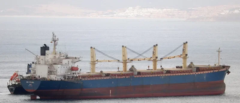 IDC PEARL Bulk Carrier IMO 9245249 photo 4