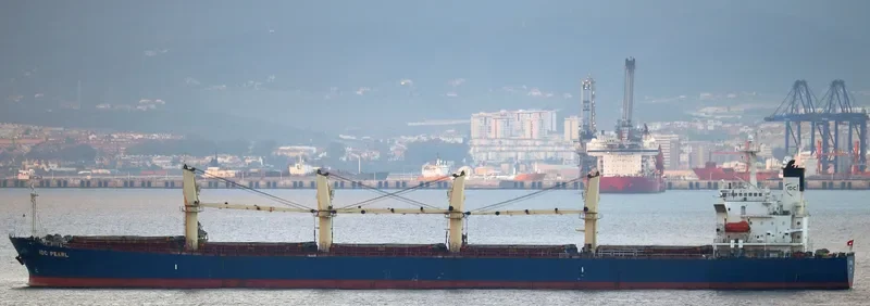 IDC PEARL Bulk Carrier IMO 9245249 photo 5