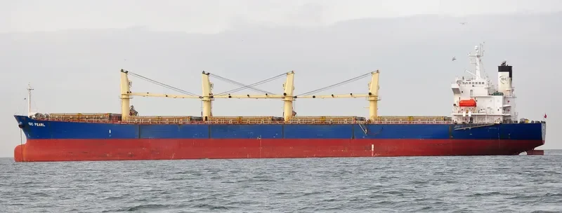 IDC PEARL Bulk Carrier IMO 9245249 photo 6
