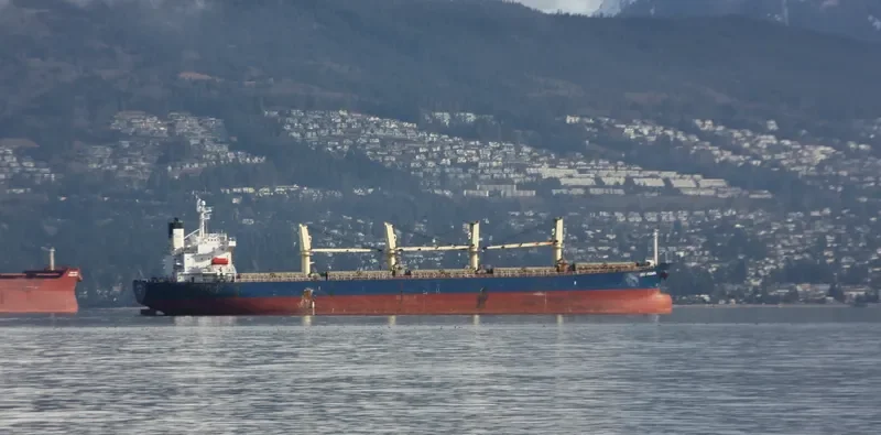 IDC PEARL Bulk Carrier IMO 9245249 photo 7