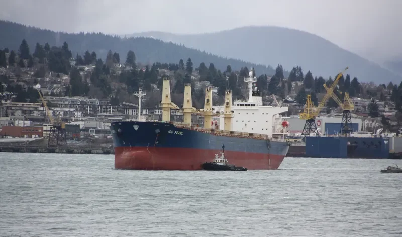 IDC PEARL Bulk Carrier IMO 9245249 photo 8