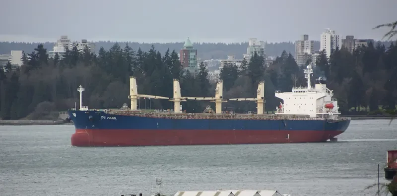 IDC PEARL Bulk Carrier IMO 9245249 photo 9
