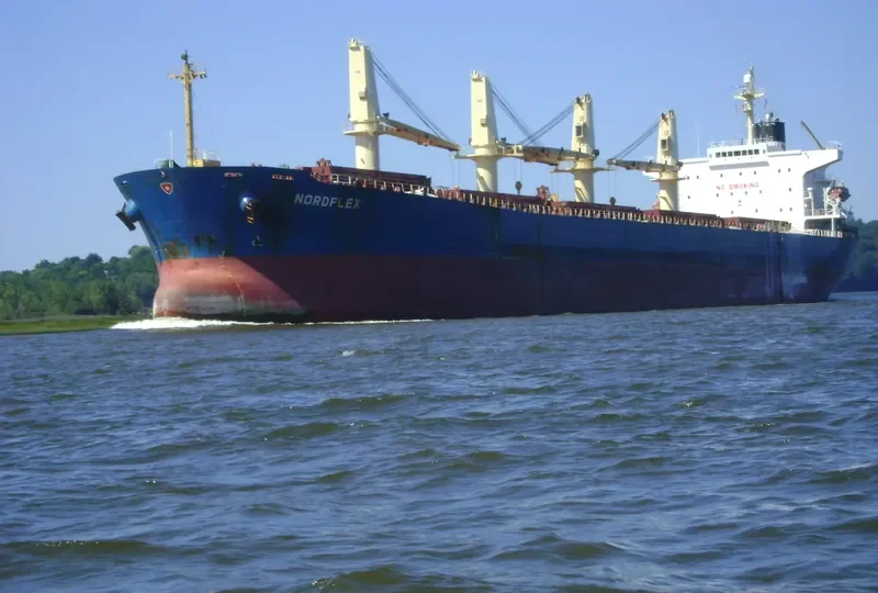 IDC PEARL Bulk Carrier IMO 9245249 photo 10