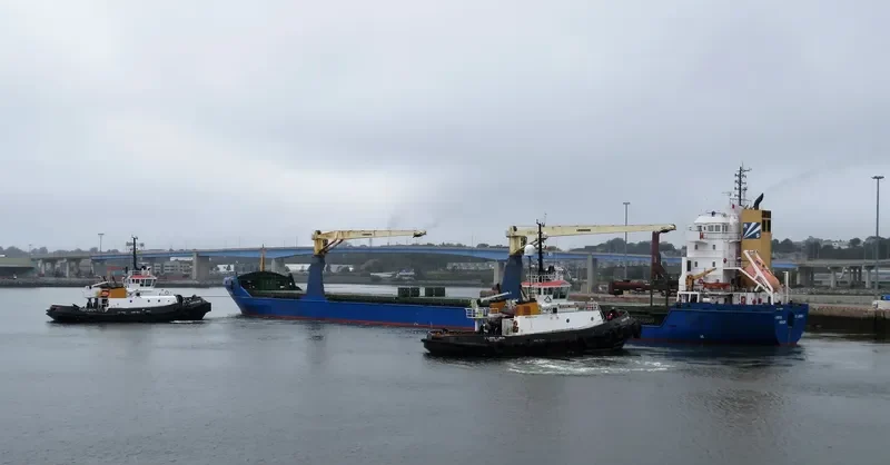 BLUE IVY General Cargo IMO 9245263