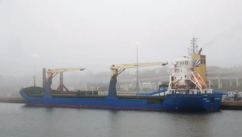BLUE IVY General Cargo IMO 9245263 photo 3