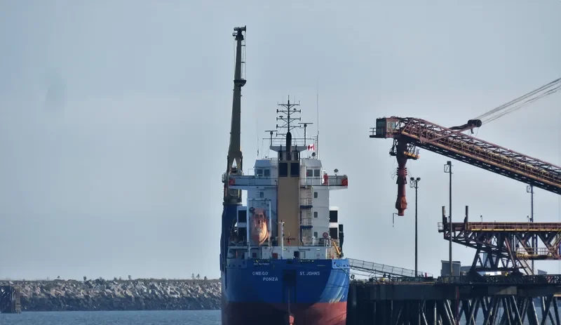 BLUE IVY General Cargo IMO 9245263 photo 4