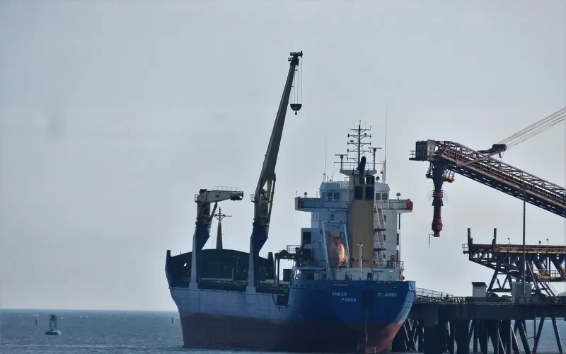 BLUE IVY General Cargo IMO 9245263 photo 5