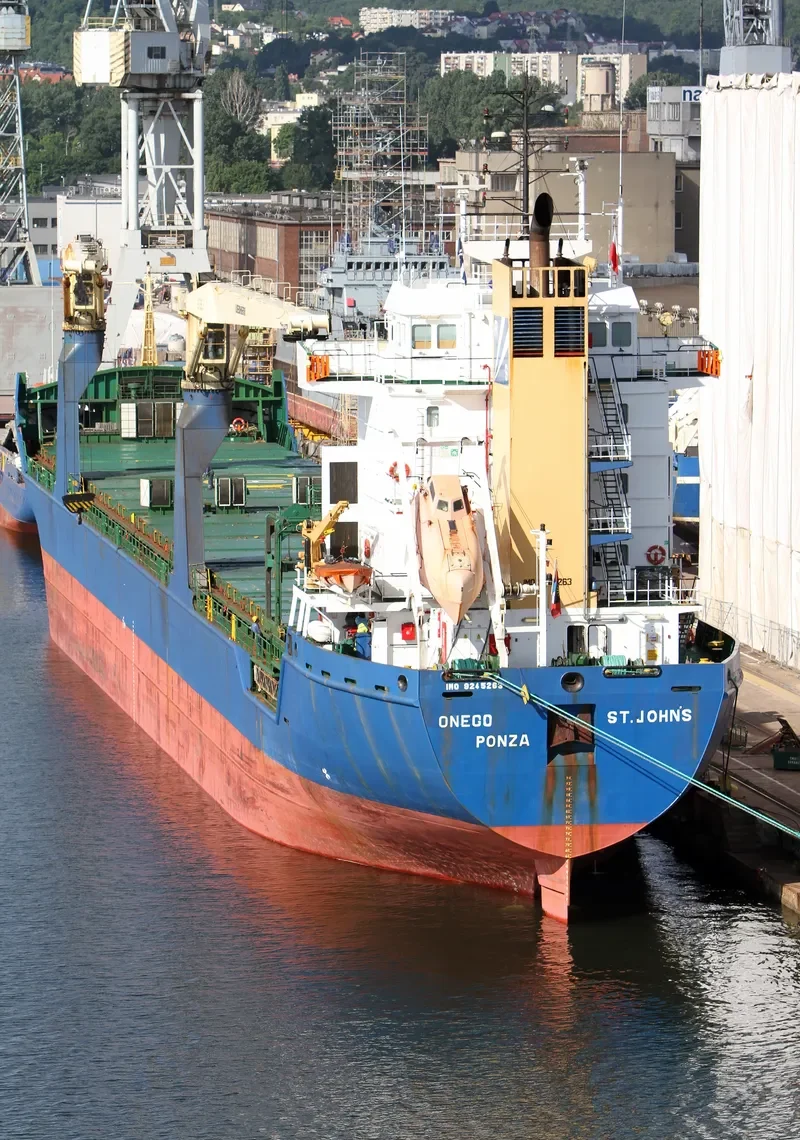 BLUE IVY General Cargo IMO 9245263 photo 6