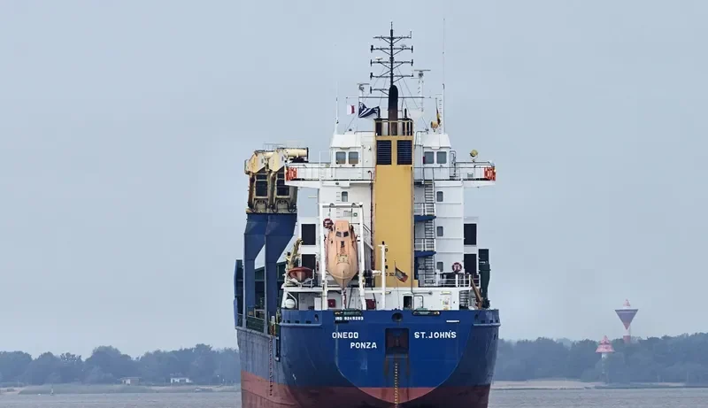 BLUE IVY General Cargo IMO 9245263 photo 7