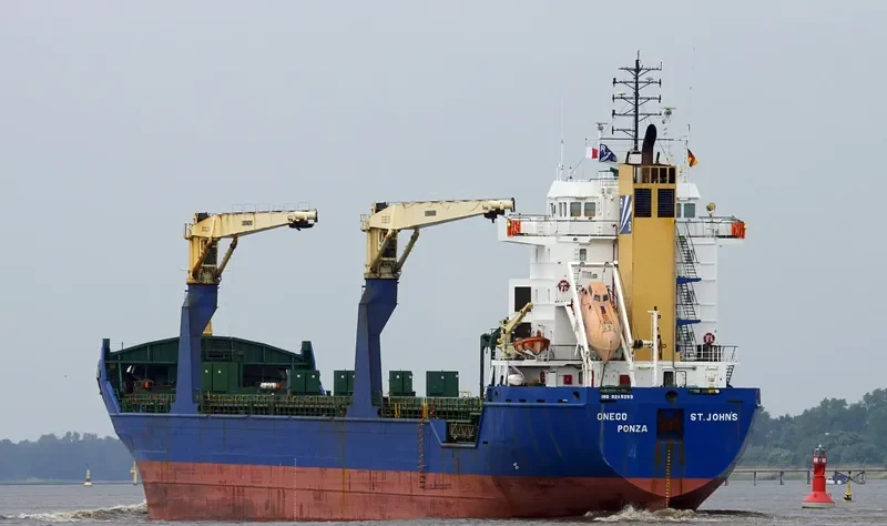 BLUE IVY General Cargo IMO 9245263 photo 8