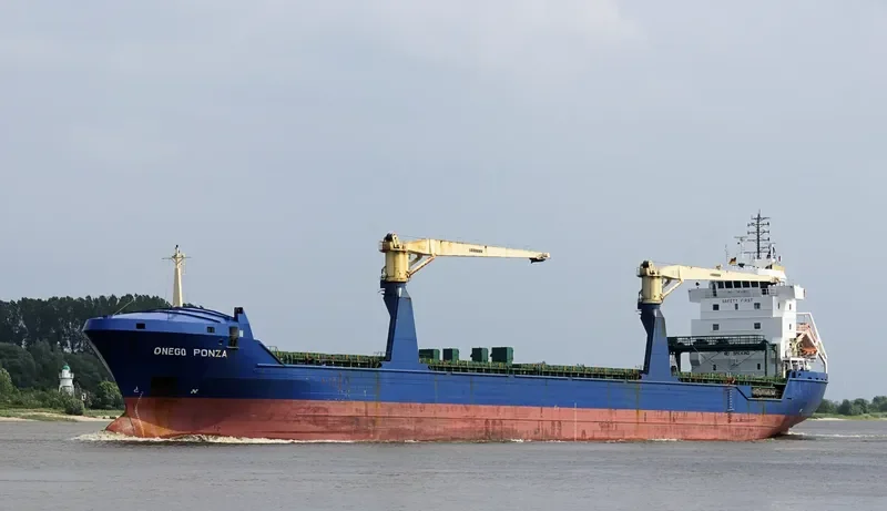 BLUE IVY General Cargo IMO 9245263 photo 10