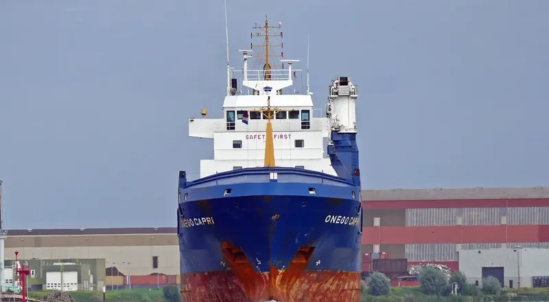 ONEGO CAPRI General Cargo IMO 9245275 photo 8