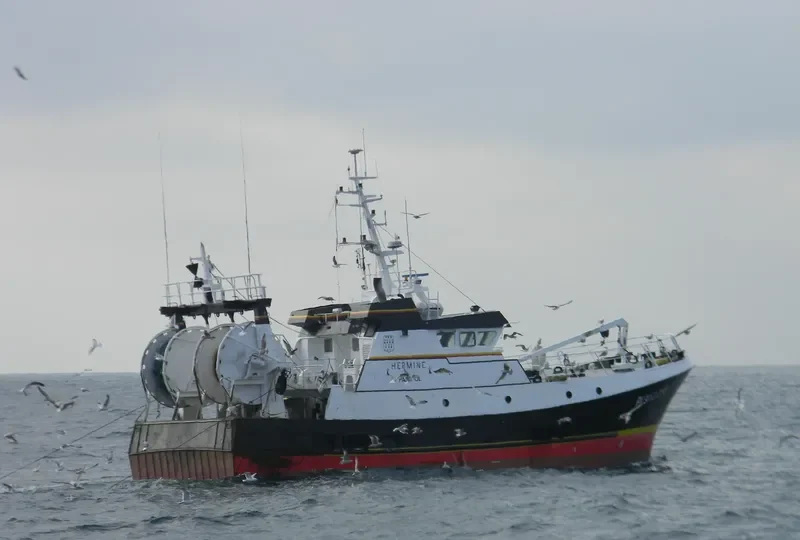 HERMINE General Cargo IMO 9245392 photo 2