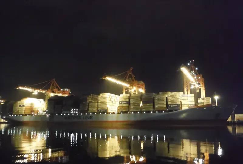 CHARLOTTE MAERSK Container Ship IMO 9245744 photo 5
