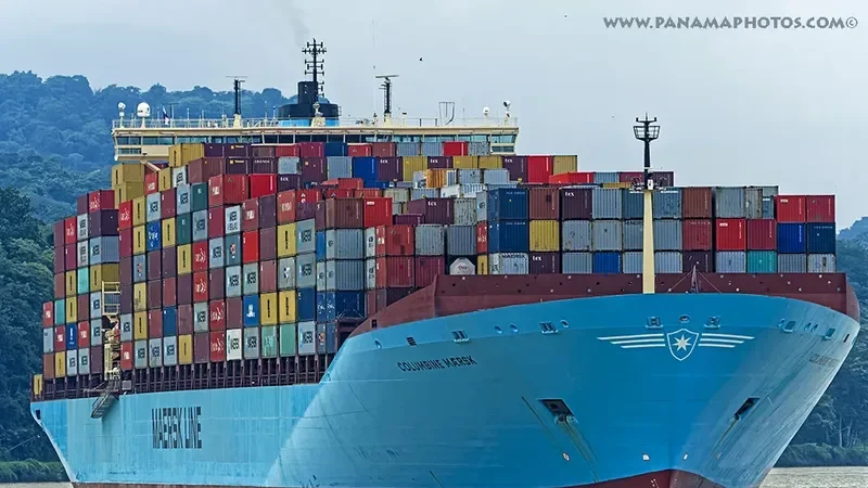 COLUMBINE MAERSK Container Ship IMO 9245768 photo 2