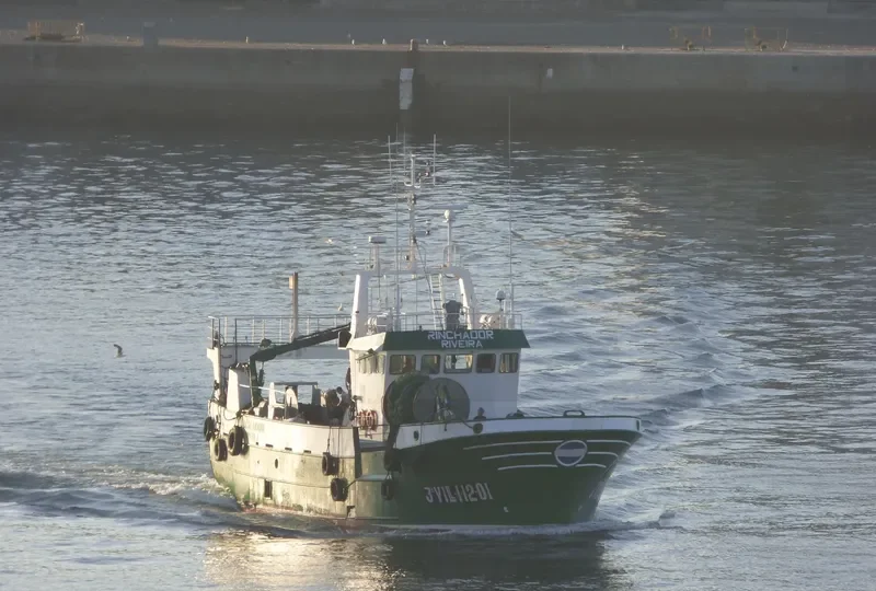 RINCHADOR General Cargo IMO 9245988