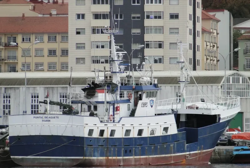 PUNTAL DE AGUETE General Cargo IMO 9245990