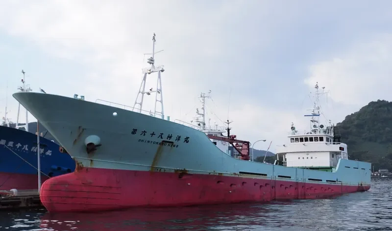 SHINYO MARU NO.68 General Cargo IMO 9246011 photo 2