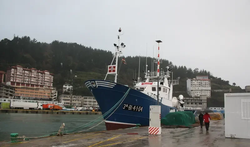 ONGI ETORRI General Cargo IMO 9246085