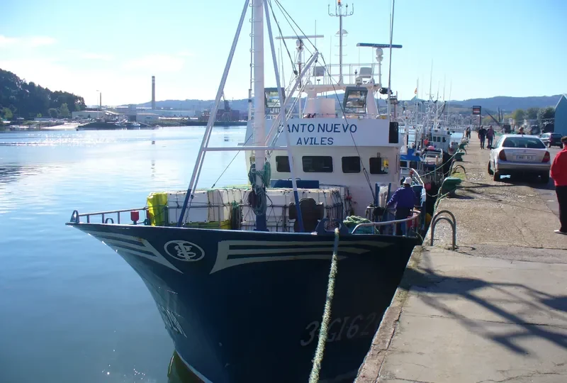 CANTO NUEVO General Cargo IMO 9246097 photo 2