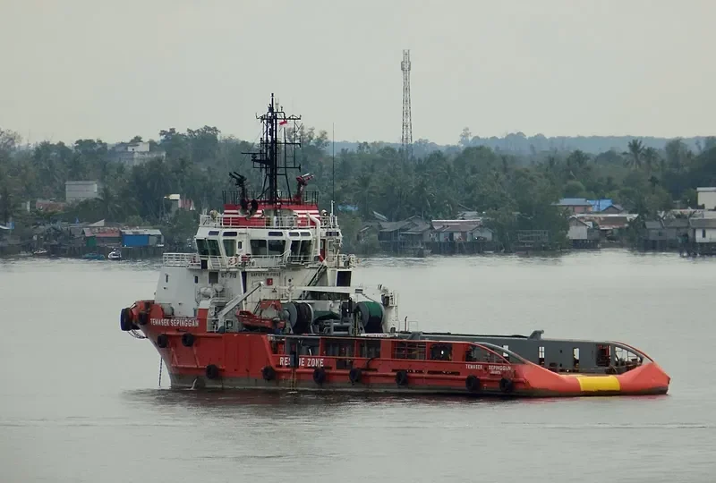TEMASEK SEPINGGAN Multi-Purpose Vessel IMO 9246255