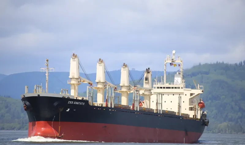 KEN RYU Bulk Carrier IMO 9246293 photo 3